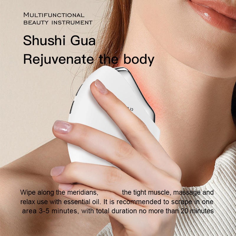 2025年新デザイン マイクロカレント 赤色光 振動 温熱  - Microcurrent Face Massager Gua Sha のレビューと価格