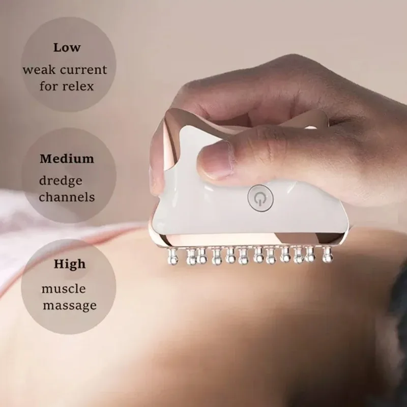 カスタマイズ可能な電動かっさマッサージ器 マイクロカレント美 - Microcurrent Face Massager Gua Sha のレビューと価格