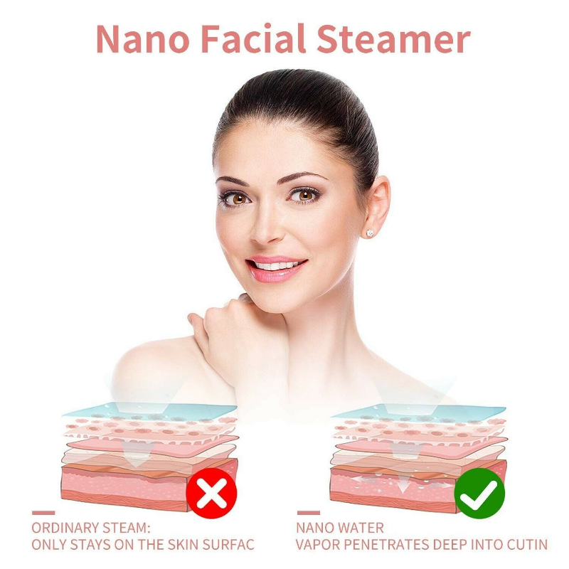 フェイシャルスチーマー ナノイオンフェイシャルスチーマー サ - Facial Steamer Nano Ionic Hot Mist のレビューと価格