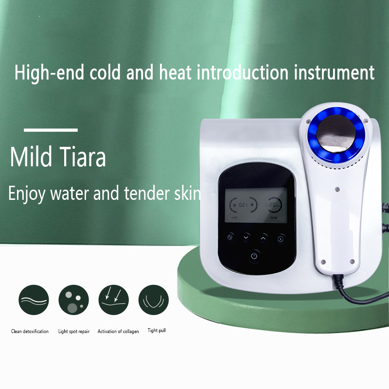 フェイシャルマッサージャー 光子若返り 温冷美容器 スキンリ - Cold Warm Hammer Facial Machine のレビューと価格